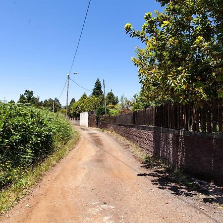 Chalet Pico Das Pedras Santana  Eksteriør billede