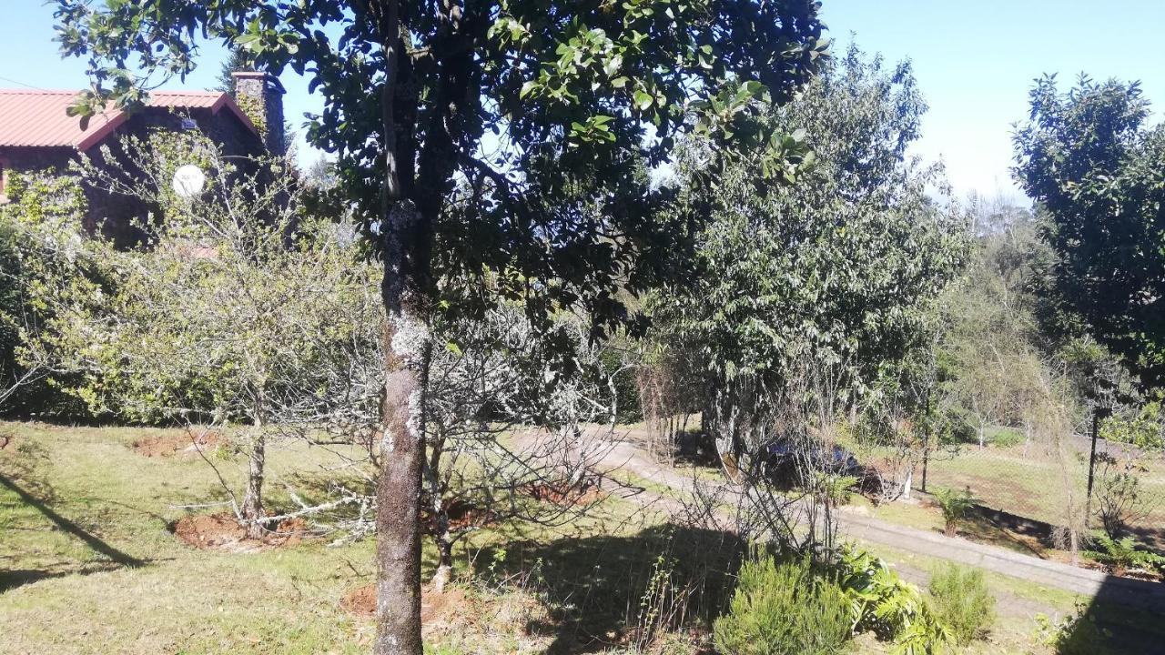 Chalet Pico Das Pedras Santana  Eksteriør billede