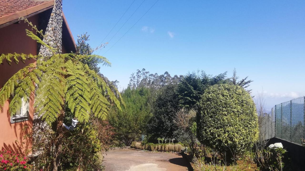 Chalet Pico Das Pedras Santana  Eksteriør billede