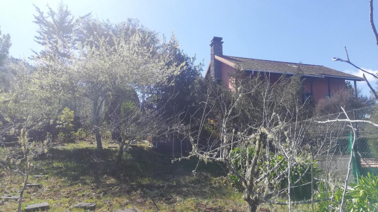 Chalet Pico Das Pedras Santana  Eksteriør billede