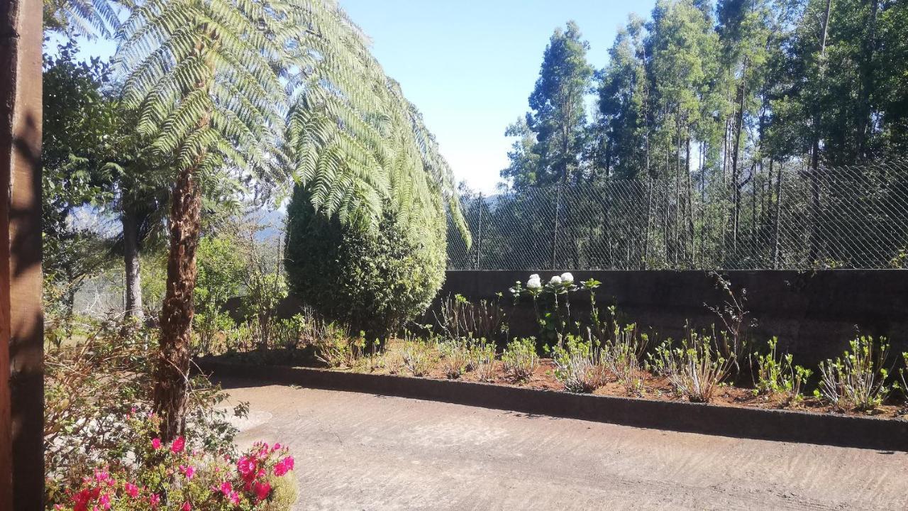 Chalet Pico Das Pedras Santana  Eksteriør billede