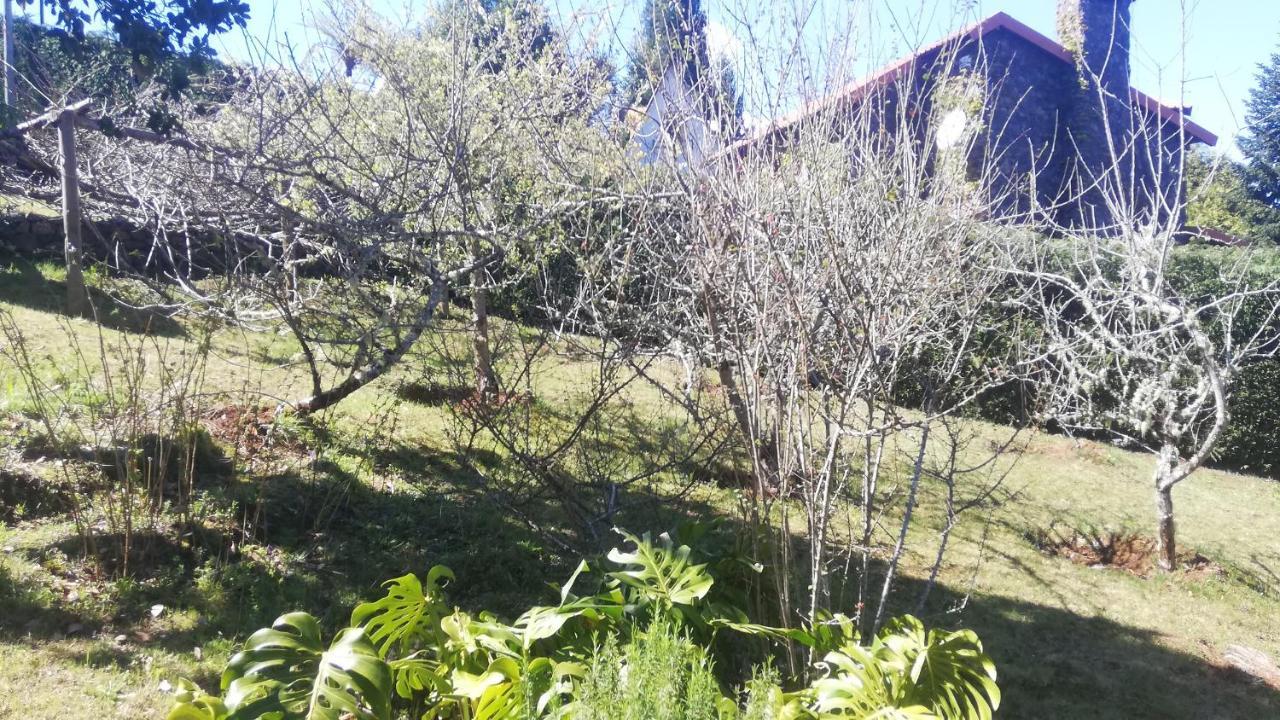 Chalet Pico Das Pedras Santana  Eksteriør billede