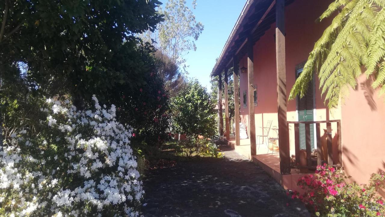 Chalet Pico Das Pedras Santana  Eksteriør billede