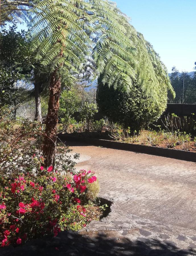 Chalet Pico Das Pedras Santana  Eksteriør billede