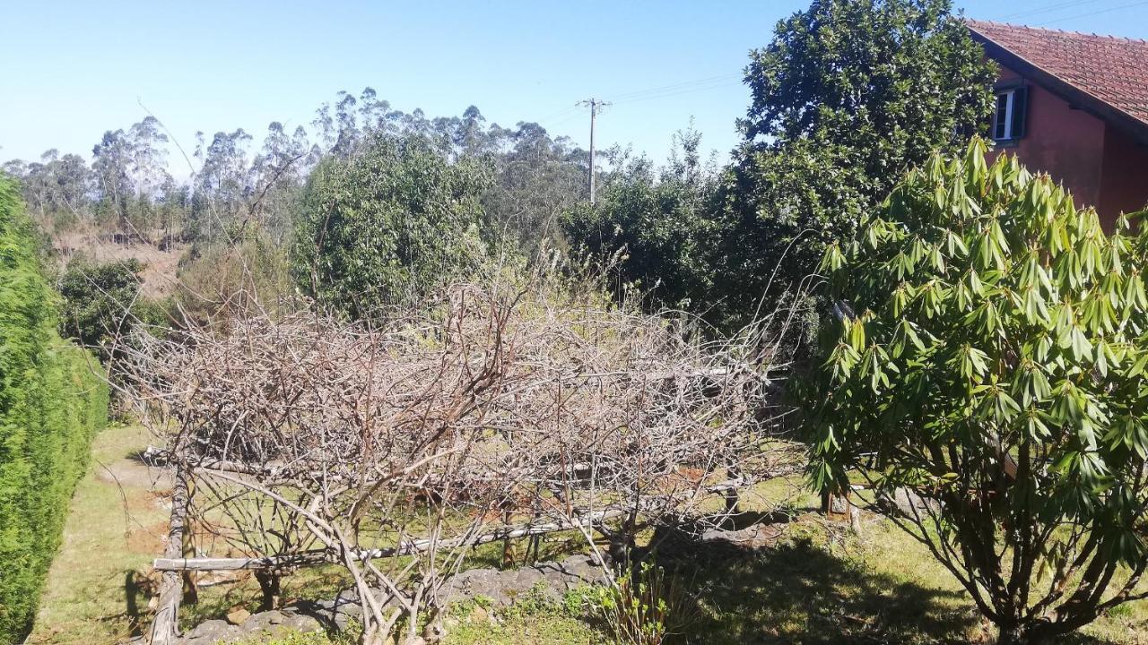 Chalet Pico Das Pedras Santana  Eksteriør billede