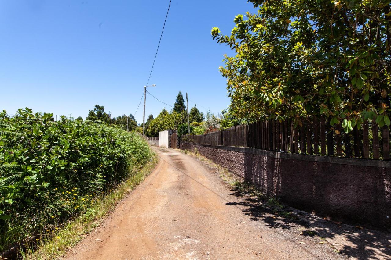 Chalet Pico Das Pedras Santana  Eksteriør billede