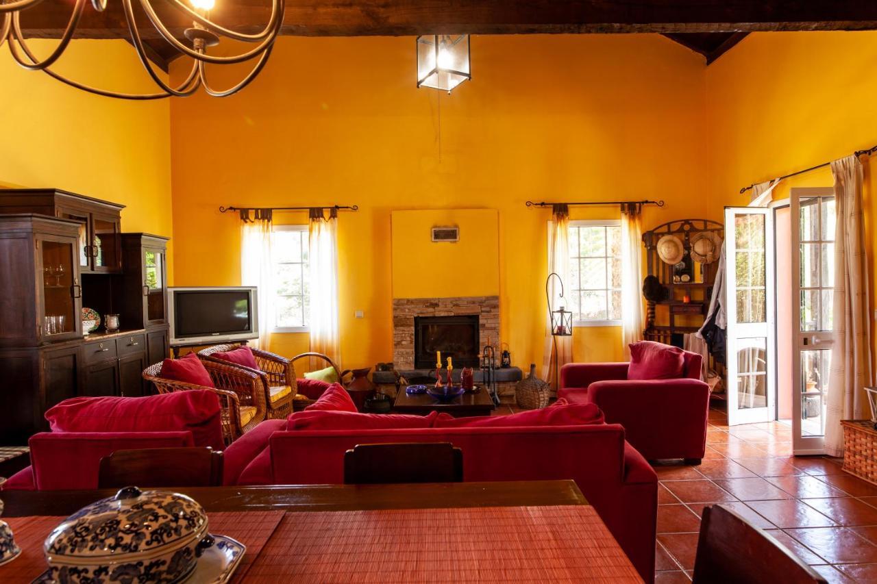 Chalet Pico Das Pedras Santana  Eksteriør billede
