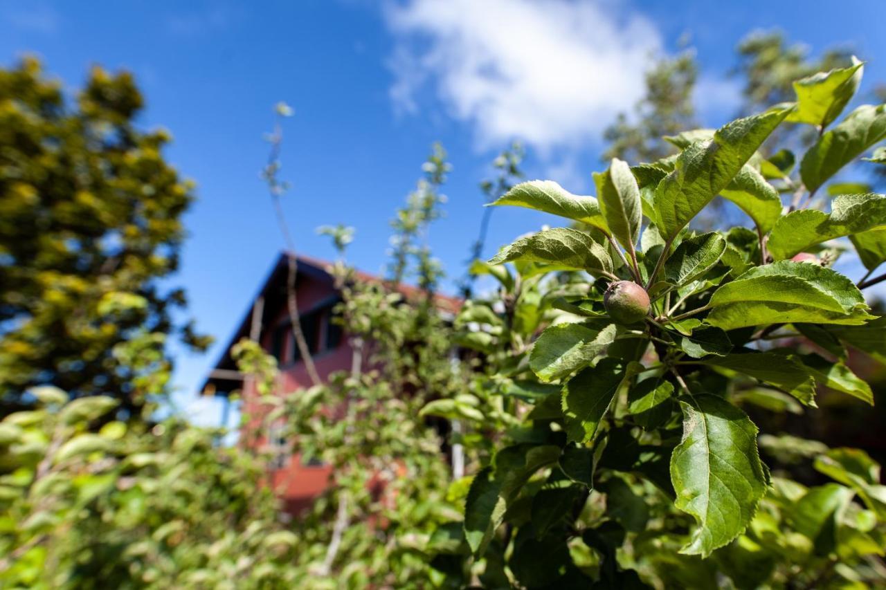 Chalet Pico Das Pedras Santana  Eksteriør billede